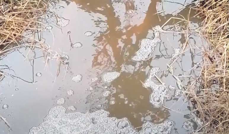 GNR identifica descarga ilegal de resíduos no rio Arnóia nos Amiais