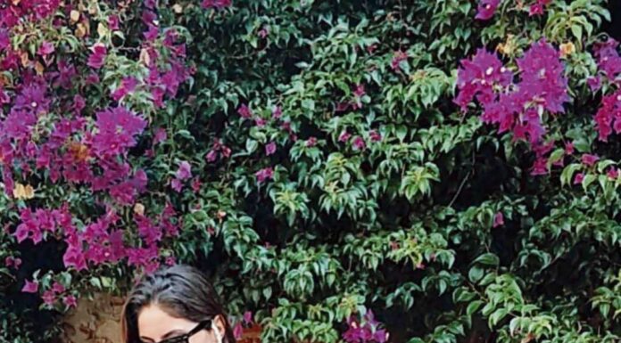 Caldense criou empresa de decoração durante a pandemia