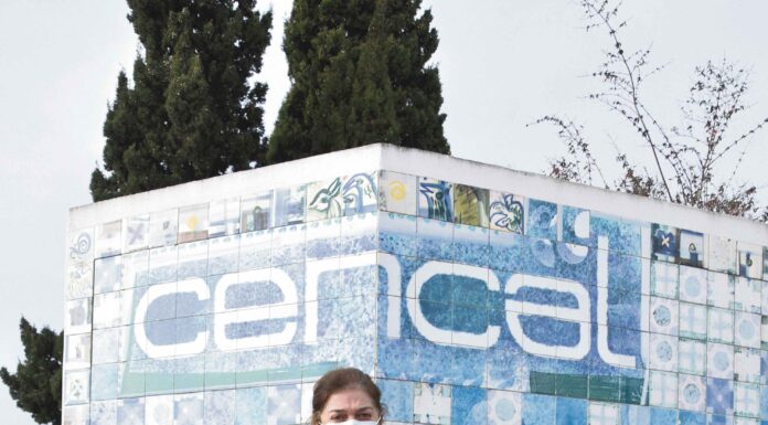 Cencal, o único centro de formação de cerâmica no país, celebra 40 anos