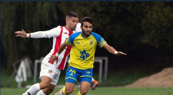 Futebol: Diogo Clemente emprestado ao E. Amadora