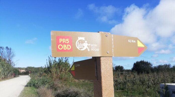 Vandalismo no Parque da Vila em Óbidos suscita queixa às autoridades