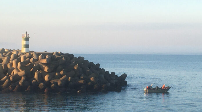 Polícia Marítima deteta três embarcações de pesca em infração em Alcobaça e Nazaré