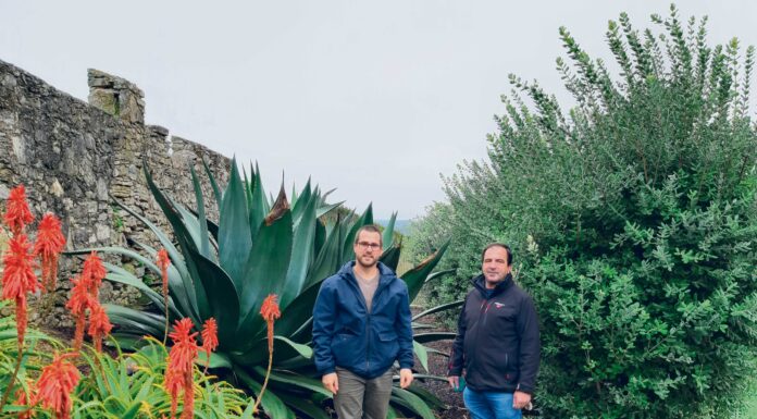 Empresa caldense aposta em jardins sustentáveis