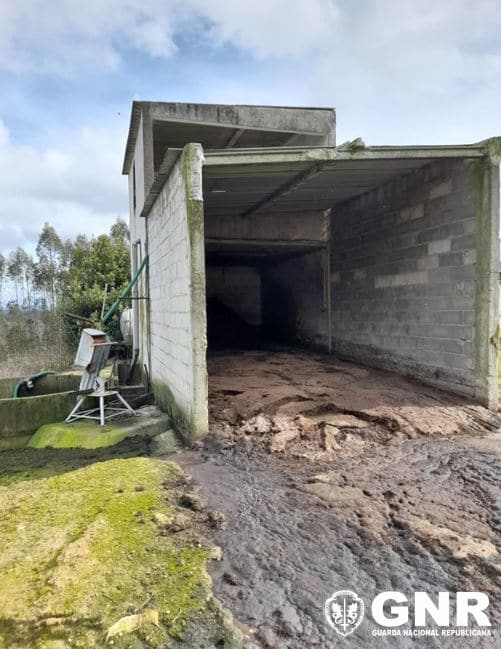 Pecuária da Matoeira fez descarga ilegal em afluente do Rio Tornada