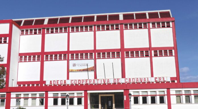 Cooperativismo é imagem de marca da agricultura do Cadaval