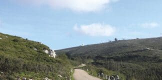 Cadaval: Caminhada dos Avós decorre na Serra do Montejunto