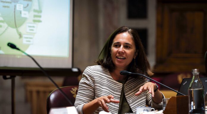 Teresa Paulo, uma caldense na presidência portuguesa da União Europeia