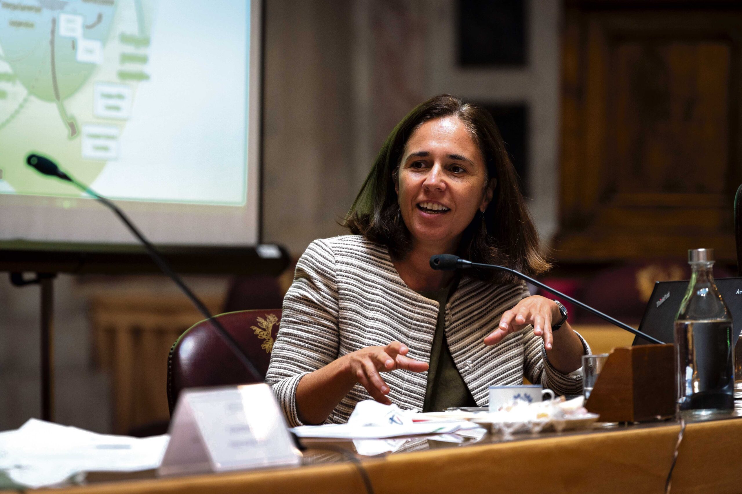 Teresa Paulo, uma caldense na presidência portuguesa da União Europeia