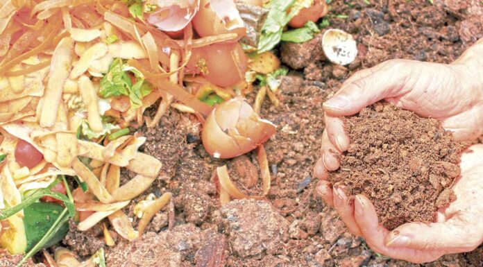 OesteCIM prepara estudo para recolha de biorresíduos