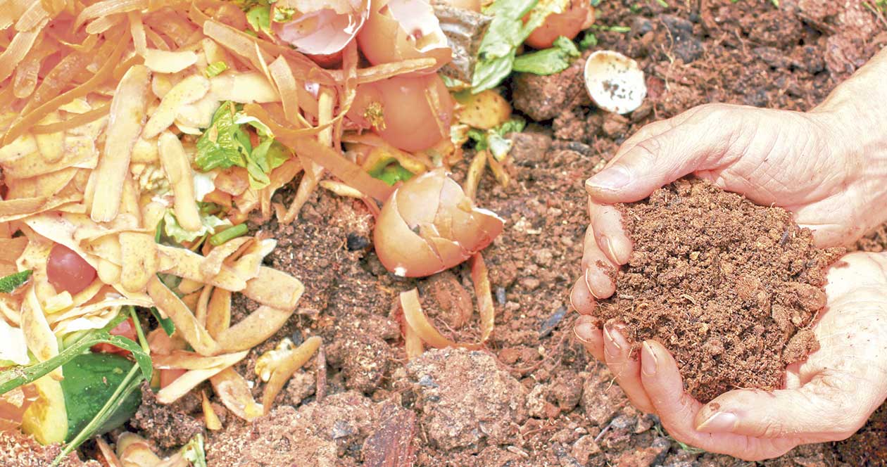 OesteCIM prepara estudo para recolha de biorresíduos