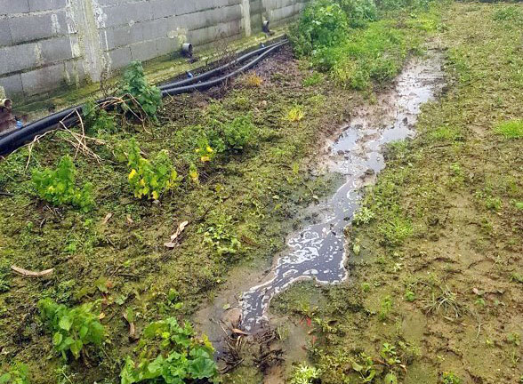 GNR deteta descarga ilegal de efluentes pecuários em Alfeizerão