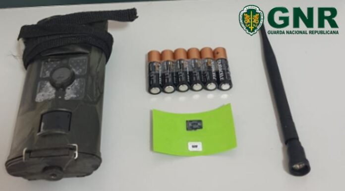 Homem identificado por caça ilegal em área de proteção em Alfeizerão