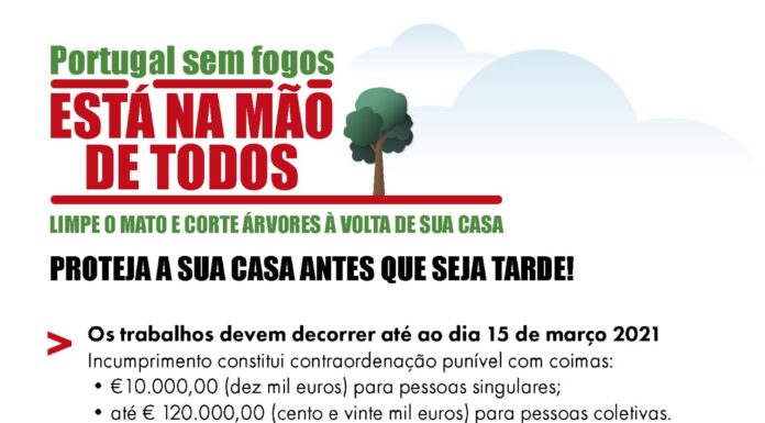 Lourinhã apela à gestão de combustível de terrenos em espaços rurais