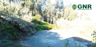 GNR deteta uma descarga ilegal na região por mês