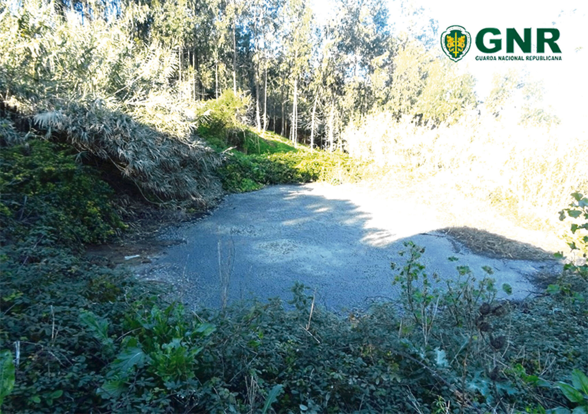 GNR deteta uma descarga ilegal na região por mês