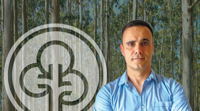 Caldense lança bolsa para apoiar proprietários florestais