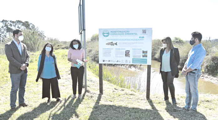 Óbidos lança painéis de sensibilização junto aos rios