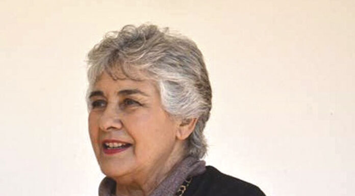 Exaltina Nogueira foi a primeira vereadora na Câmara das Caldas