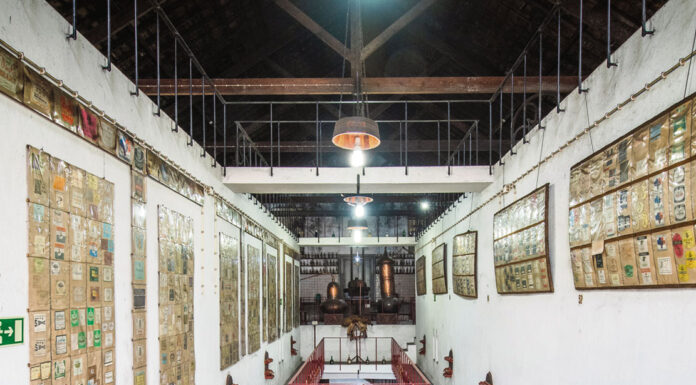 Museu do Vinho de Alcobaça é um dos mais antigos do país e vai reabrir remodelado