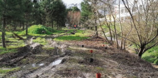 Eco-freguesias de Caldas e Óbidos defendem o ambiente