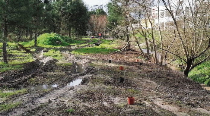 Eco-freguesias de Caldas e Óbidos defendem o ambiente