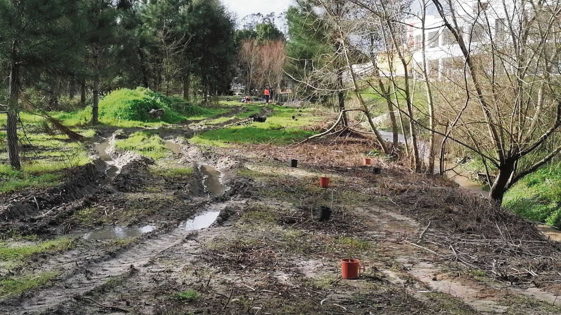 Eco-freguesias de Caldas e Óbidos defendem  o ambiente