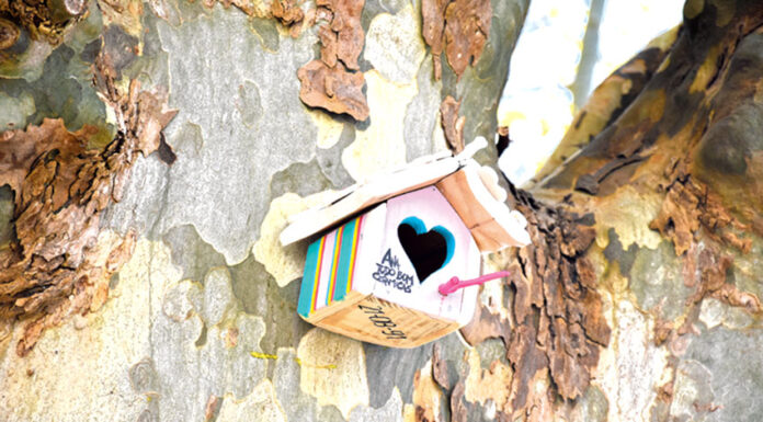 Empresários de Óbidos convidam visitantes com ninhos pela vila