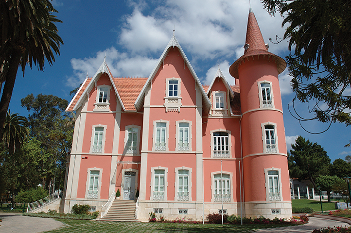 PS/Alcobaça avalia três nomes para a Câmara