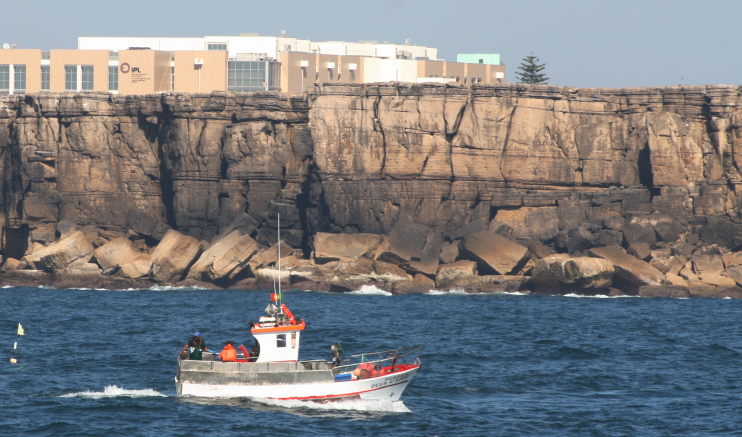 Grupo “Marés” quer dinamizar a ESTM de Peniche
