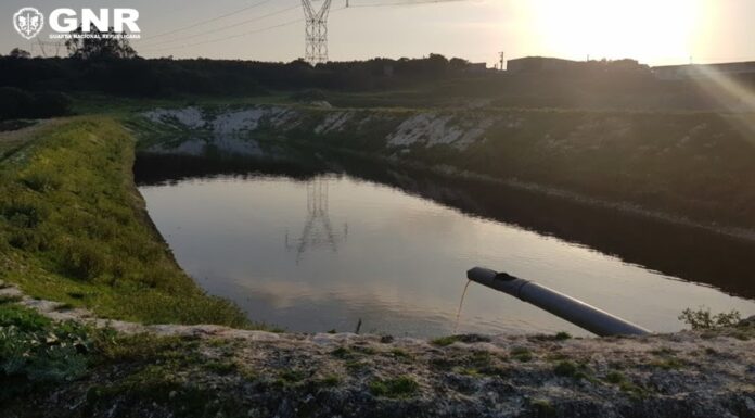 GNR deteta descarga ilegal de efluentes pecuários em Alcobaça