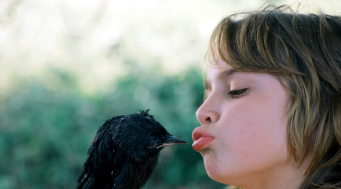 Lourinhã cria iniciativa “Fins de semana de Cinema em Casa”