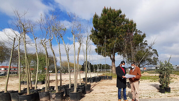 Parque de Lazer de Santo Onofre recebe primeiras árvores