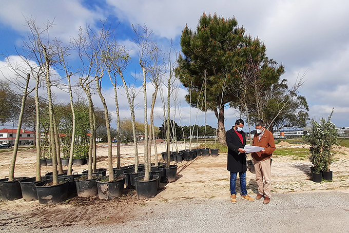 Parque de Lazer de Santo Onofre recebe primeiras árvores