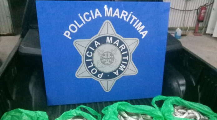 Polícia Marítima apreende 50kg de pescado no porto da Nazaré