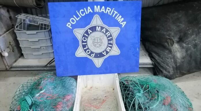 Polícia Marítima da Nazaré apreende cerca de 50kg de pescado em Alcobaça