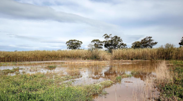 Câmara da Nazaré limpa e repara Rio da Areia