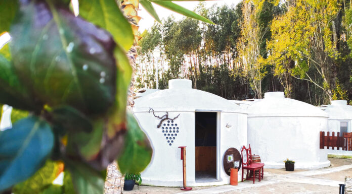 Bagos do Vilar alia turismo à cultura vinícola