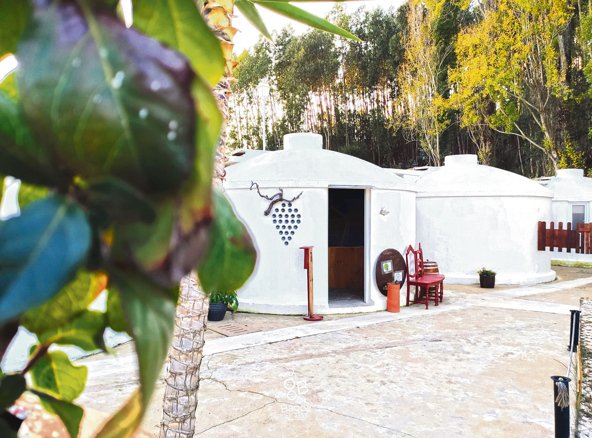 Bagos do Vilar alia turismo à cultura vinícola