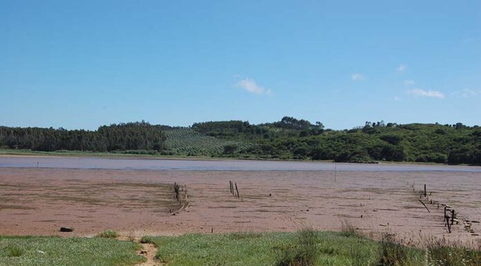 Tribunal de Contas já deu “luz verde” para as dragagens na Lagoa de Óbidos