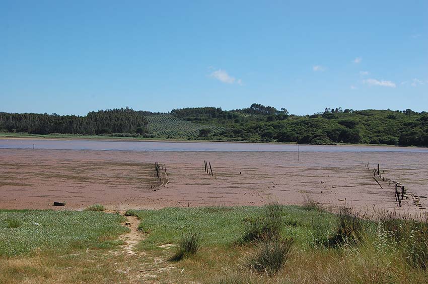 Tribunal de Contas já deu “luz verde” para as dragagens na Lagoa de Óbidos