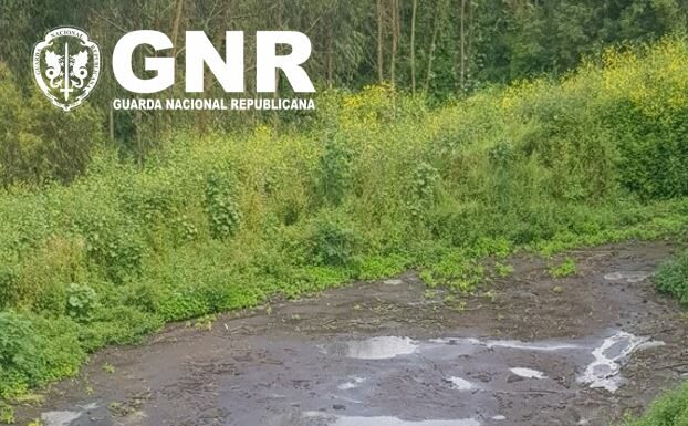 GNR deteta descarga ilegal de afluentes no Concelho de Alcobaça