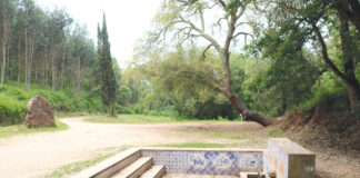 Junta da Benedita prepara projeto para requalificar Fonte da Senhora