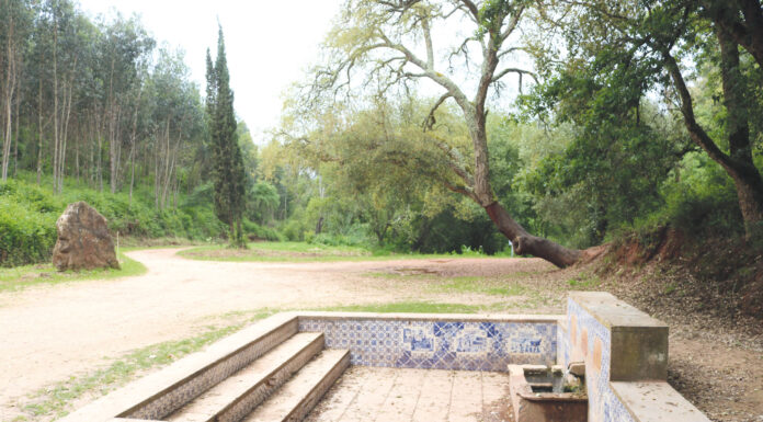 Junta da Benedita prepara projeto para requalificar Fonte da Senhora