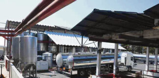 A importância do setor cooperativo nos vinhos