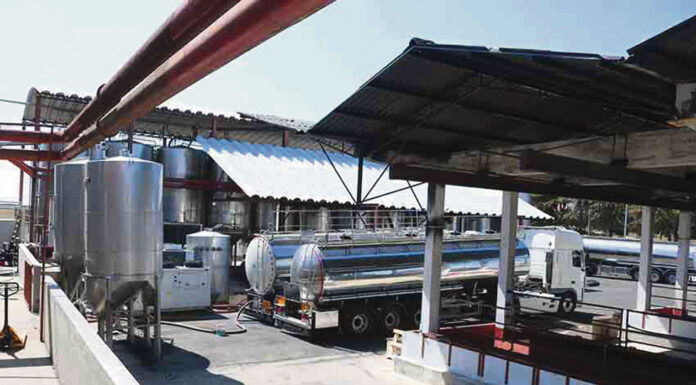 A importância do setor cooperativo nos vinhos