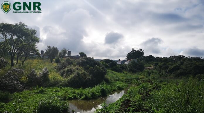 GNR deteta descarga ilegal de efluentes pecuários em Alcobaça
