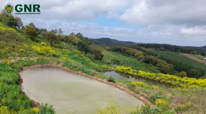 Detetada nova descarga de efluentes pecuários nas Caldas da Rainha