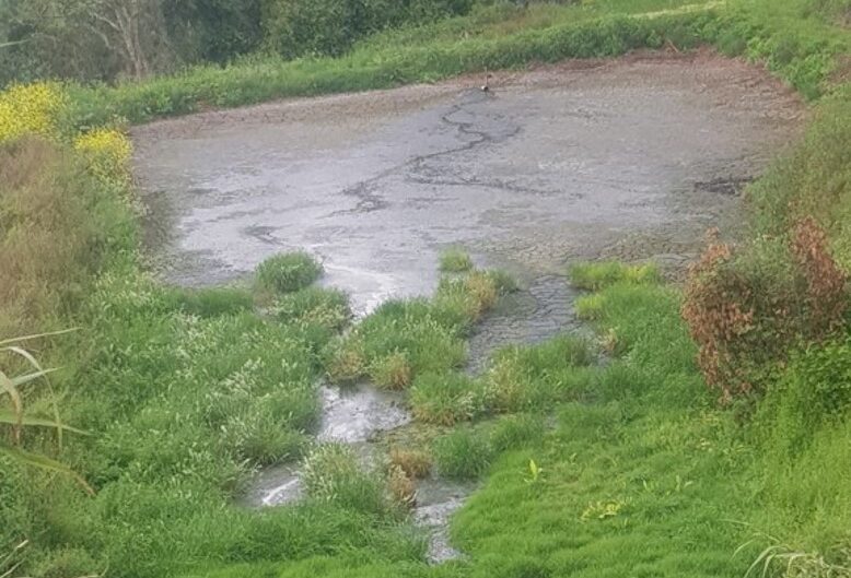 Deputados do PS pedem medidas ao Governo para despoluir rios Tornada e Arnoia