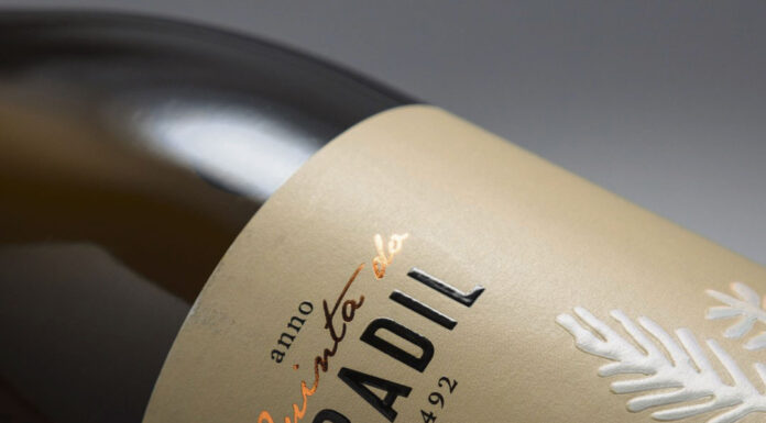 Conheça as principais castas dos vinhos DOP Óbidos e Encostas de Aire