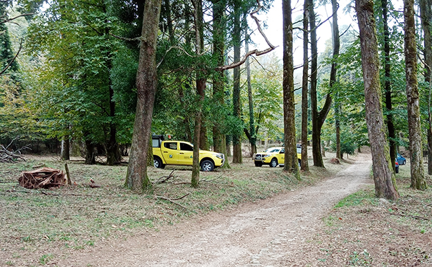 Câmara do Cadaval e ICNF fazem gestão de combustível da Serra de Montejunto